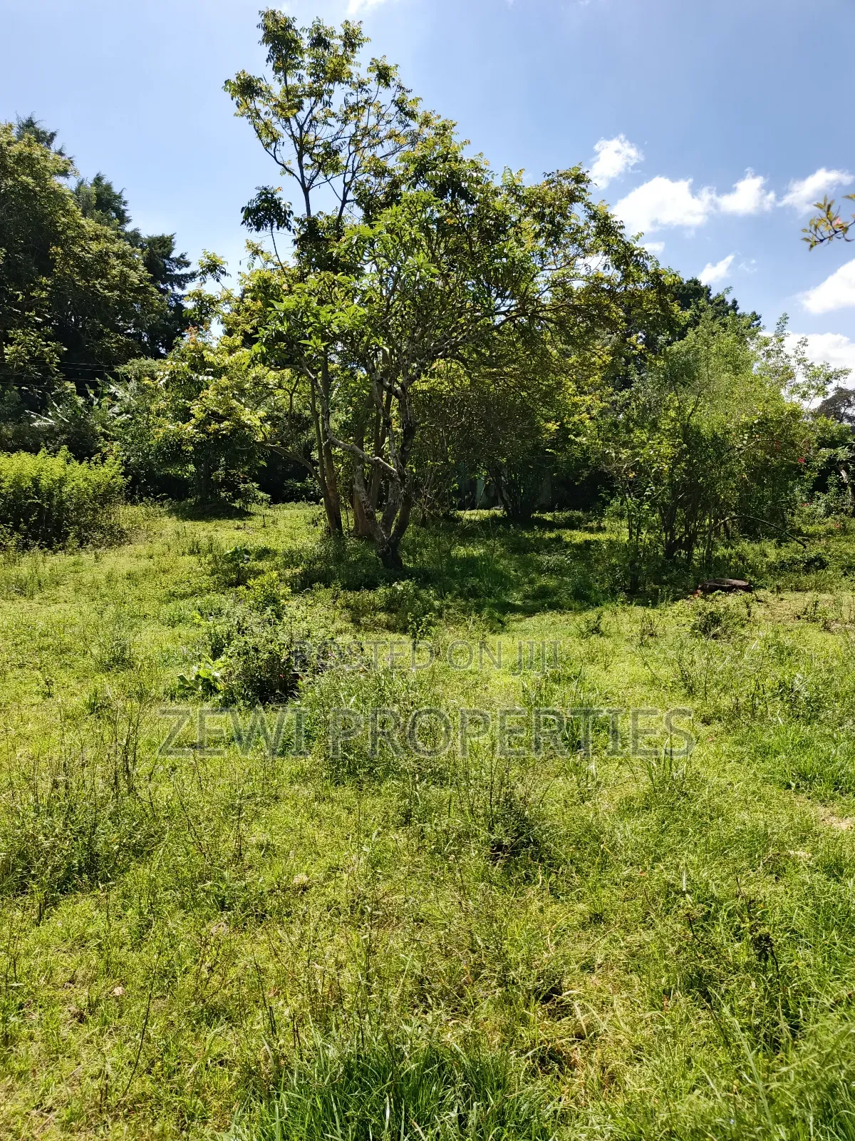 One Acre Karen