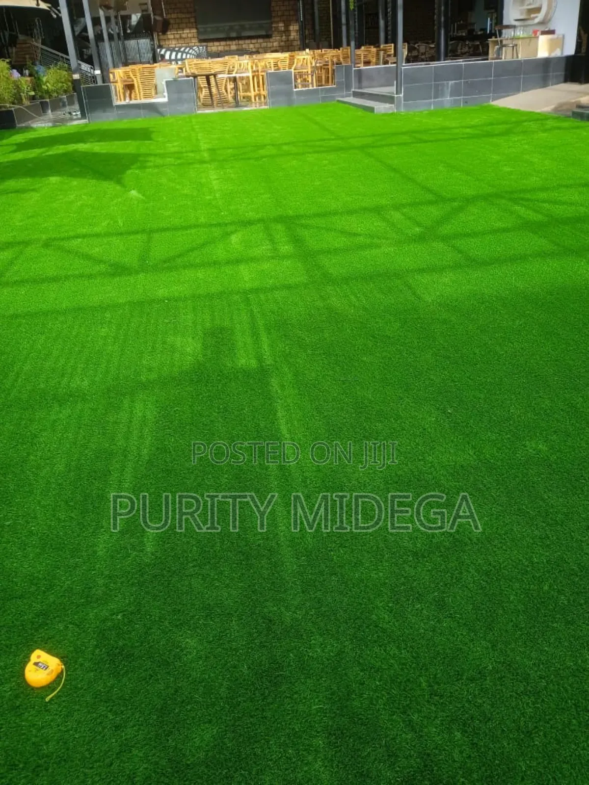 Grass Carpet
