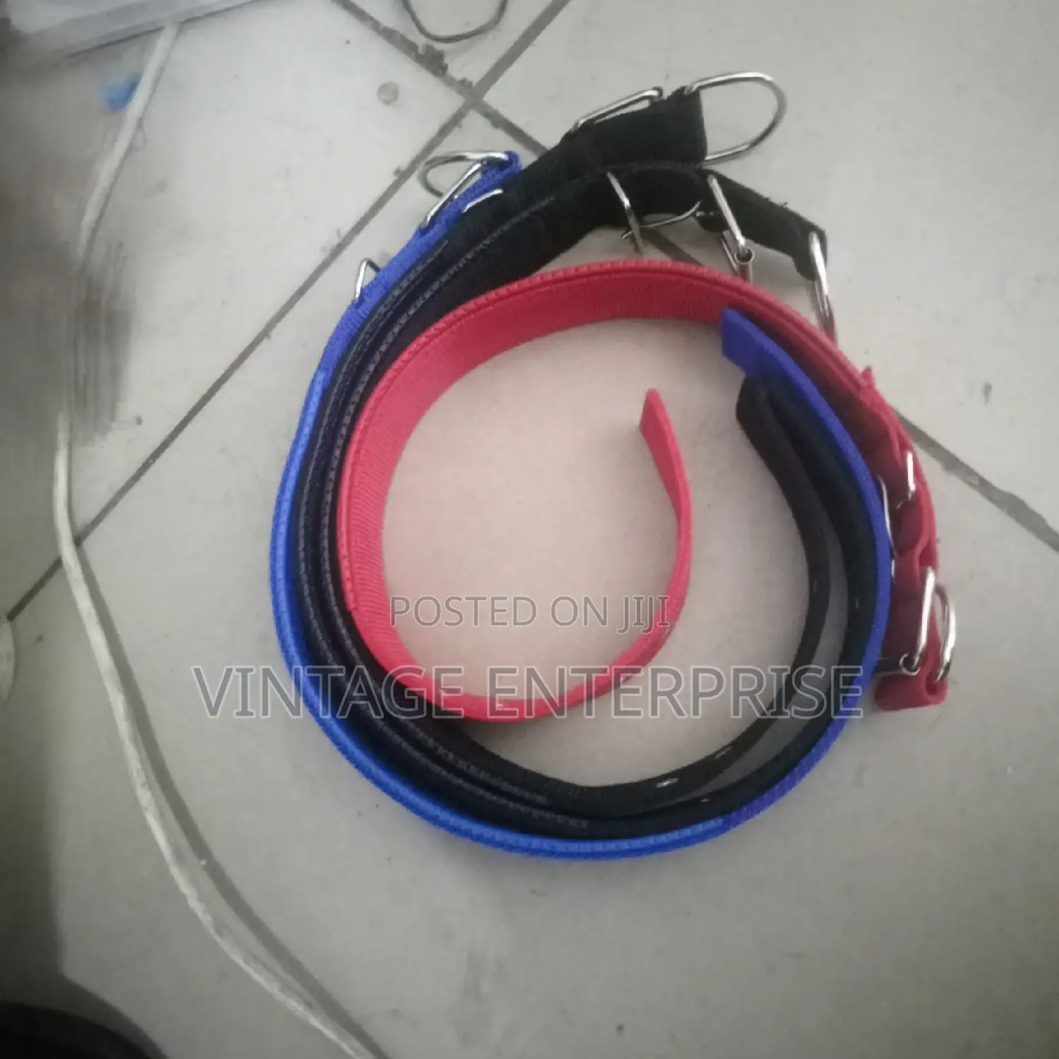 *Dog Collardog Collar