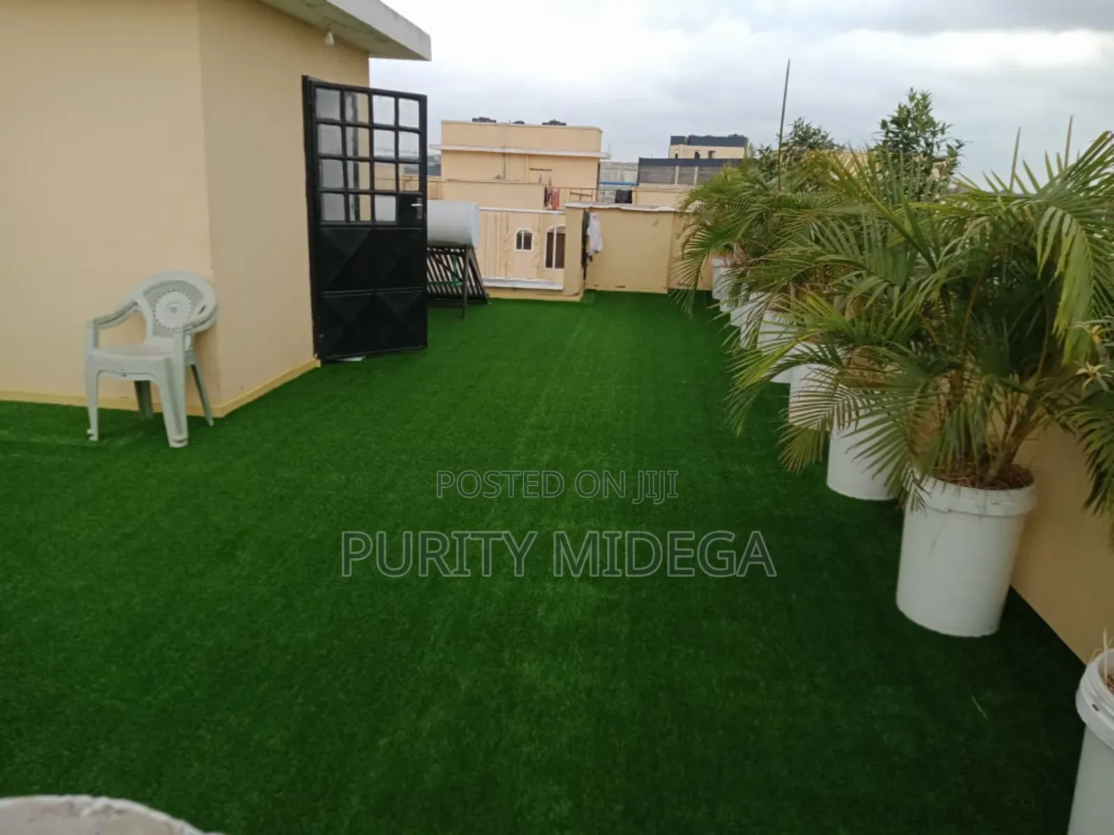 Pretty Good Looking Grass Carpet