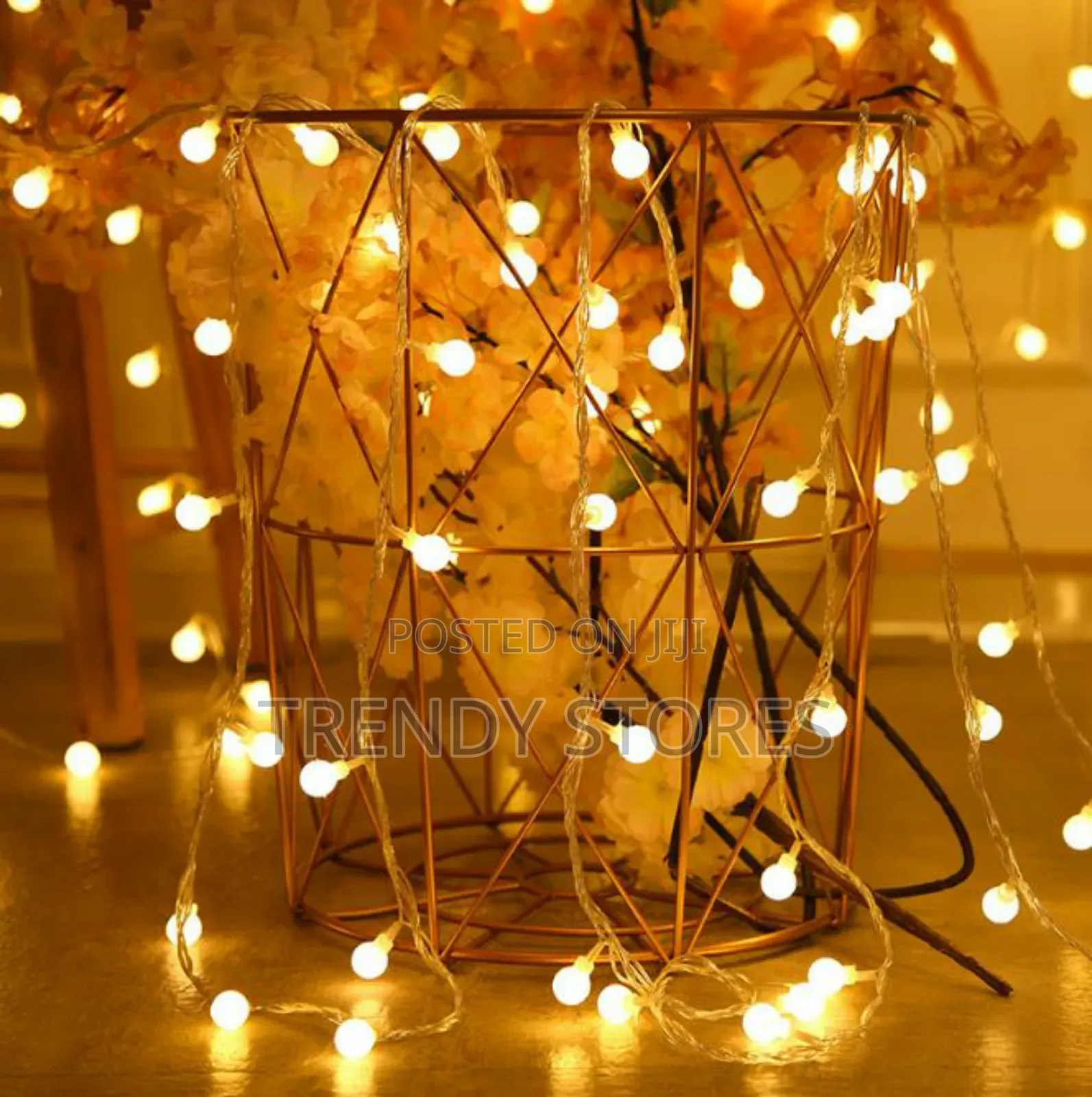 Round Shape Fairy Lights