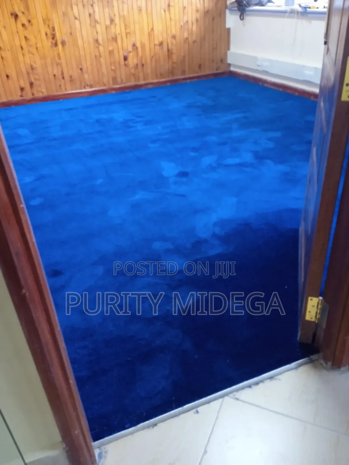 Adorable Blue Classy Vip Carpet
