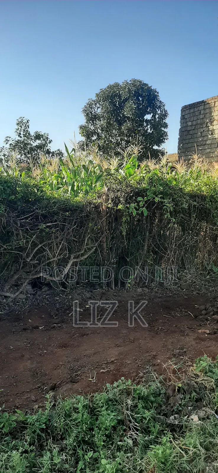 Plot for Sale in Mugutha Opposite Pcea Mukuyu Church.