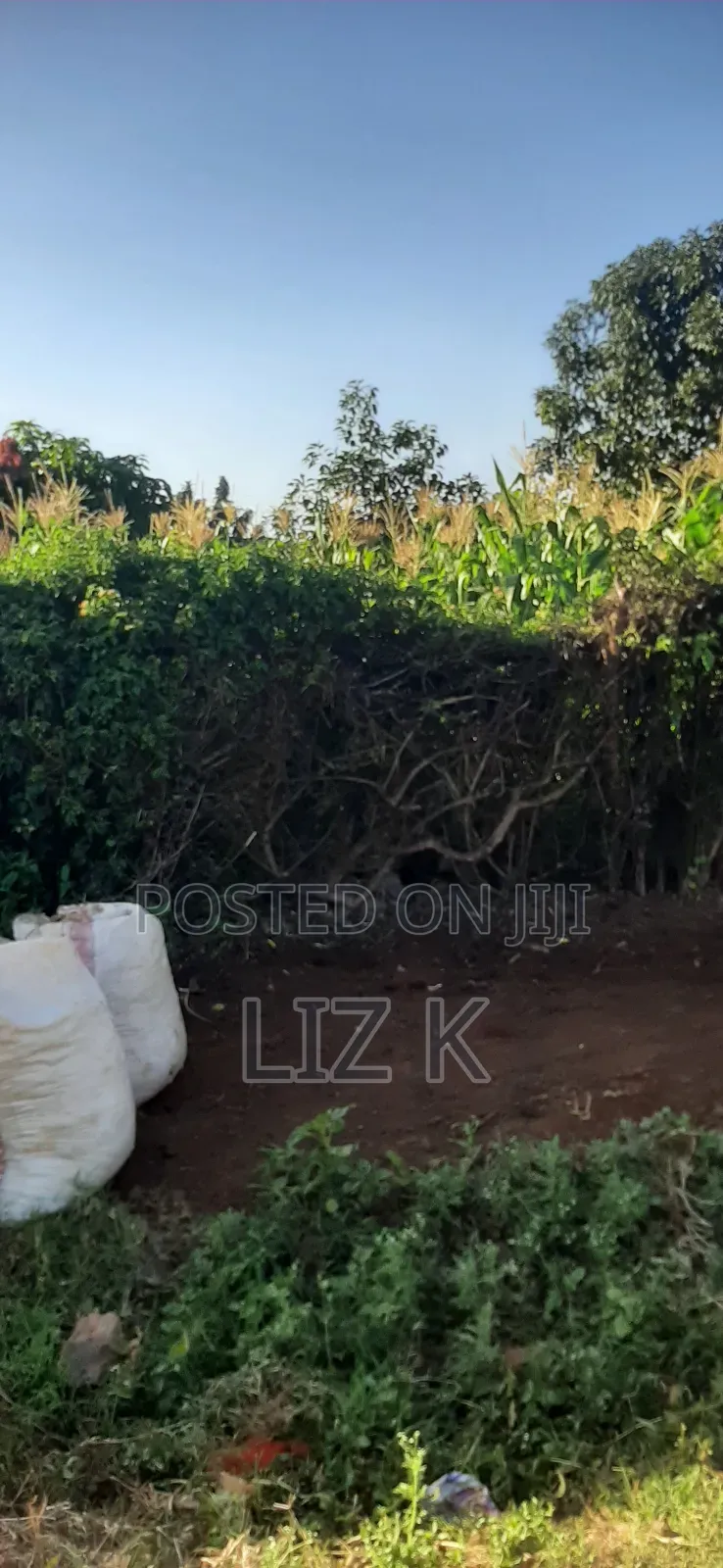 Plot for Sale in Mugutha Opposite Pcea Mukuyu Church.