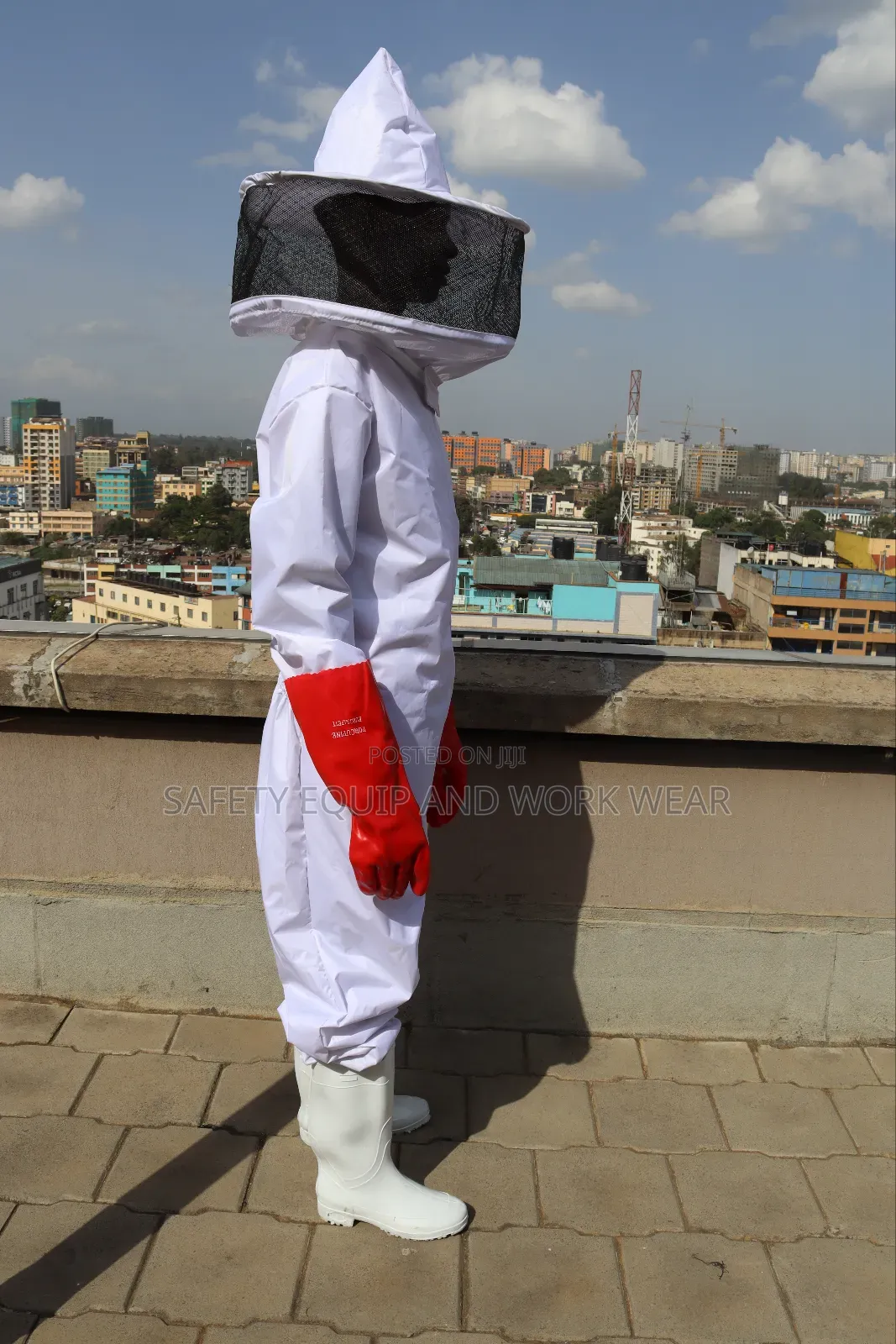 Protective Beekeeping Gear