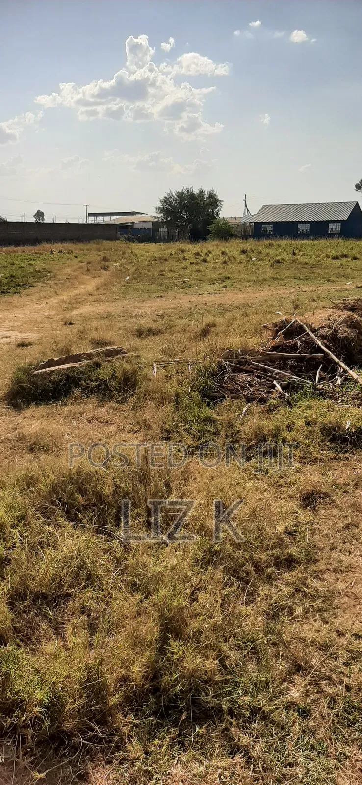Quarter Acre in Mugutha(100x100)
