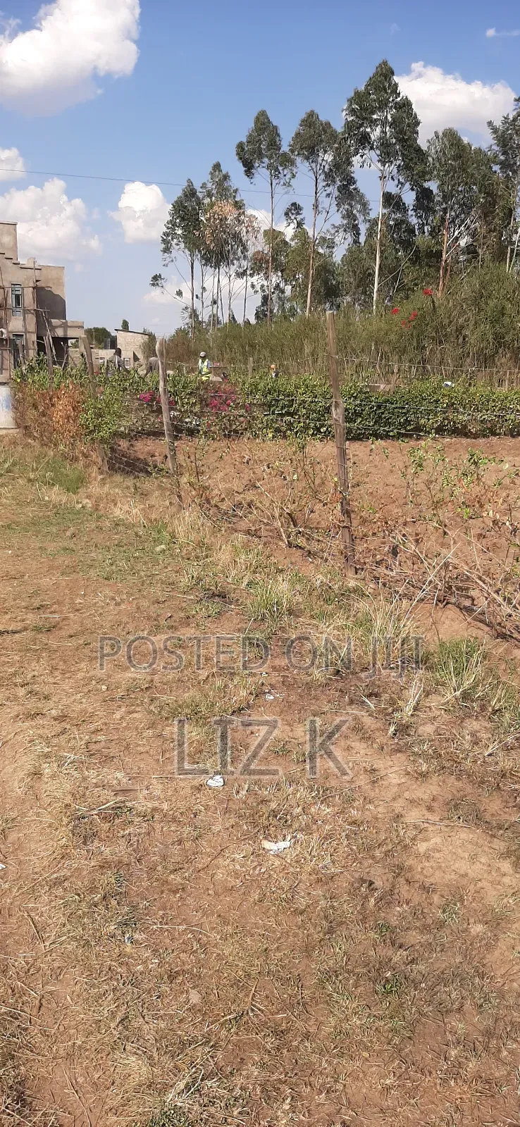 Quarter Acre in Mugutha(100x100)