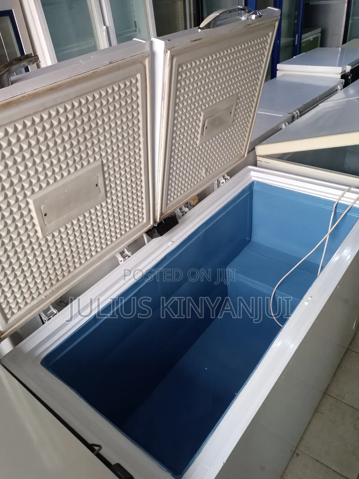 Double Doors Deep Freezer