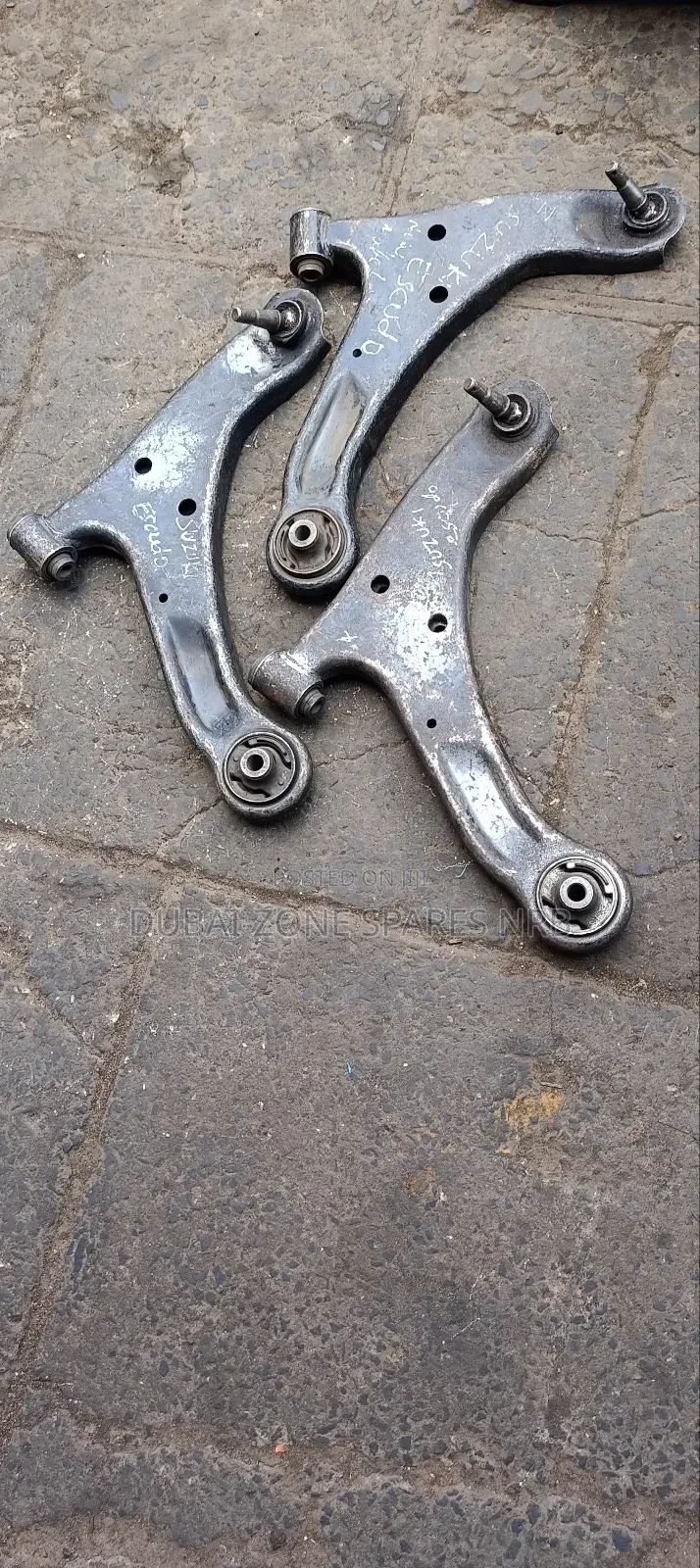 Escudo (Solomon) Control Arms.