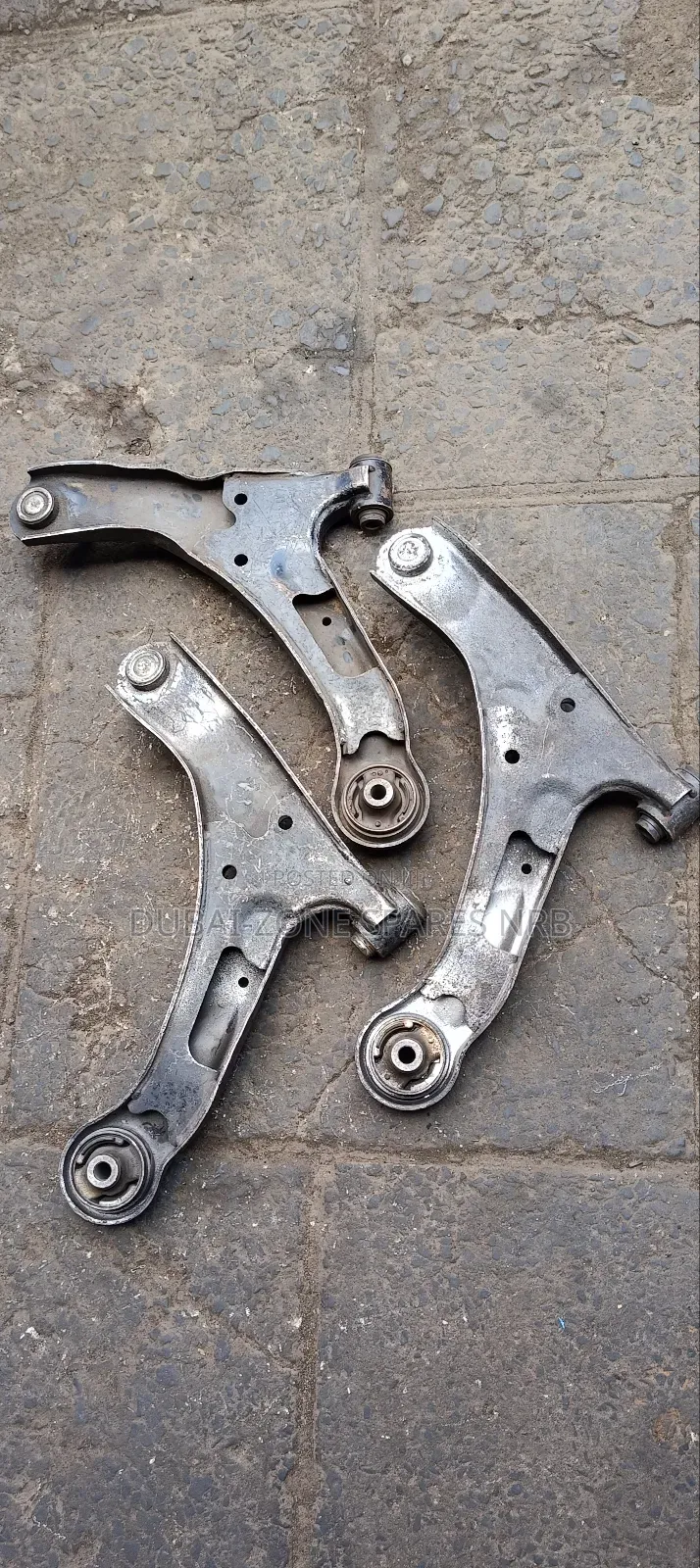 Escudo (Solomon) Control Arms.