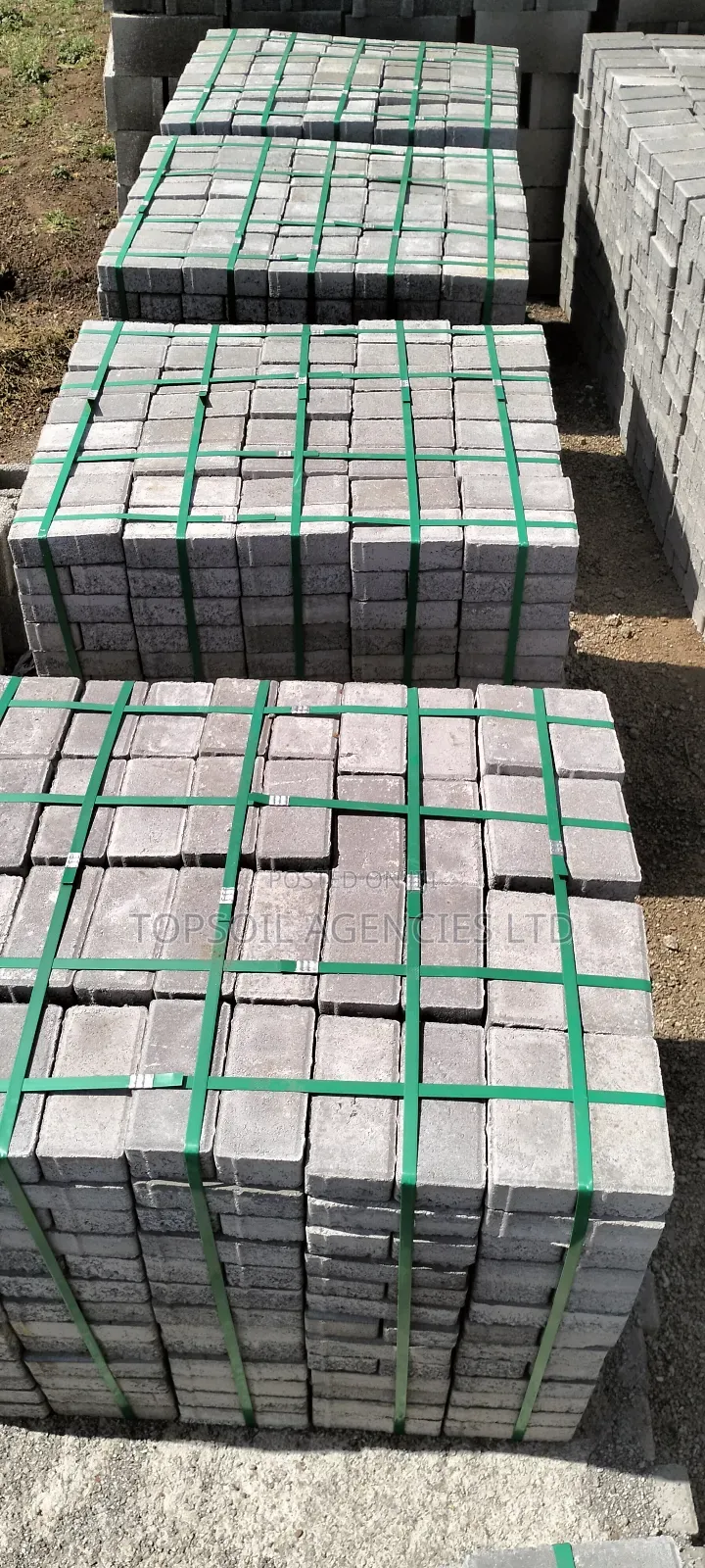 Cabro Paving Blocks (Concrete)