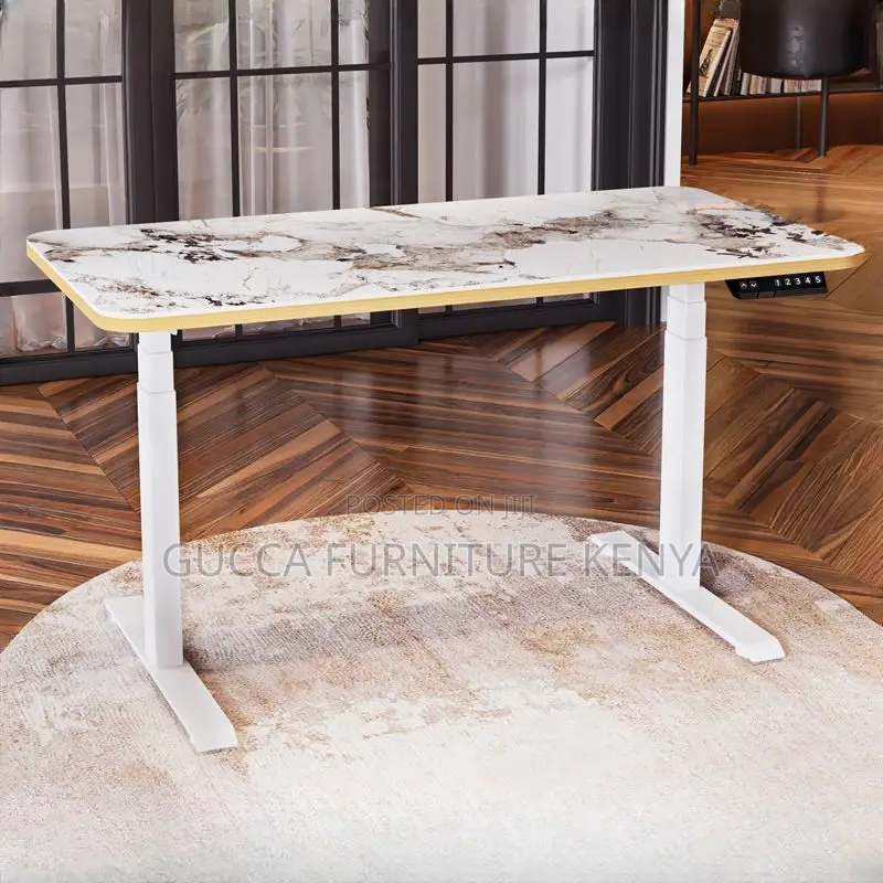 Office Table:120cm Motorized Electric Height Adjustment Desk