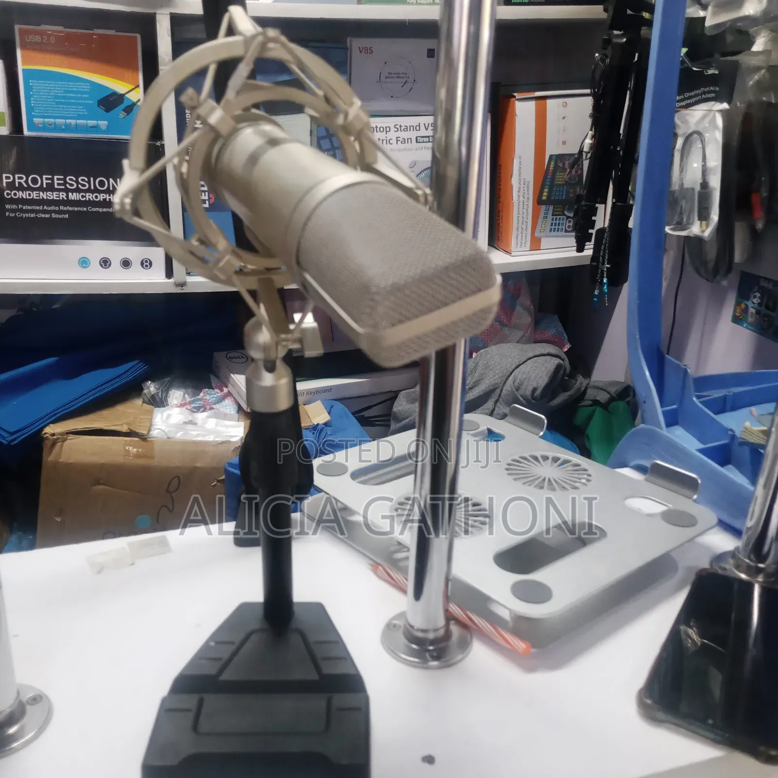 Professional Microphone for Recording and Karaoke