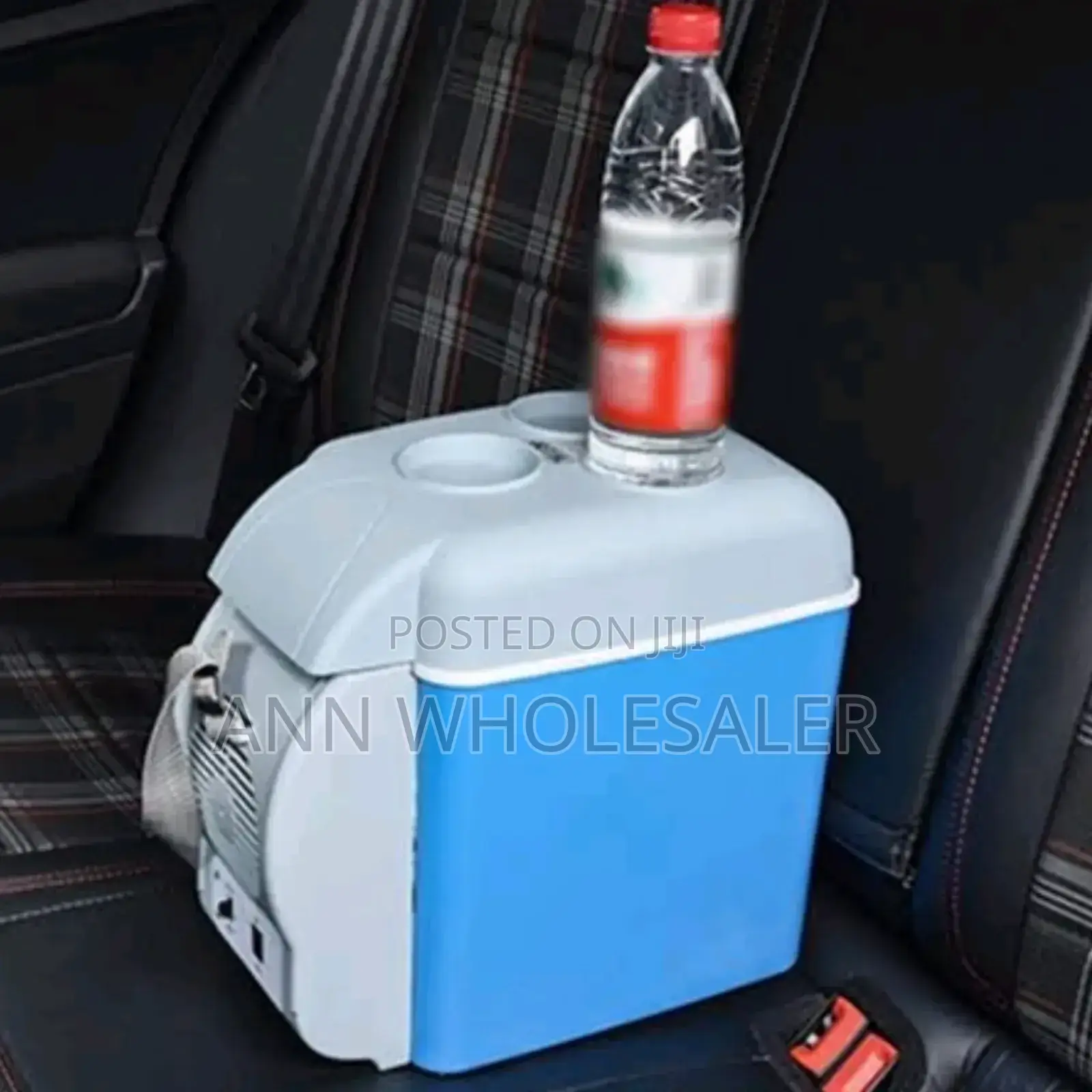 Car Portable Fridge