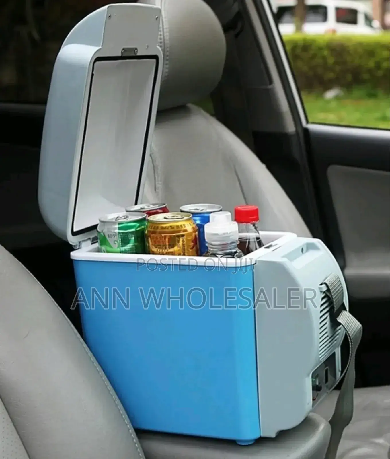 Car Portable Fridge