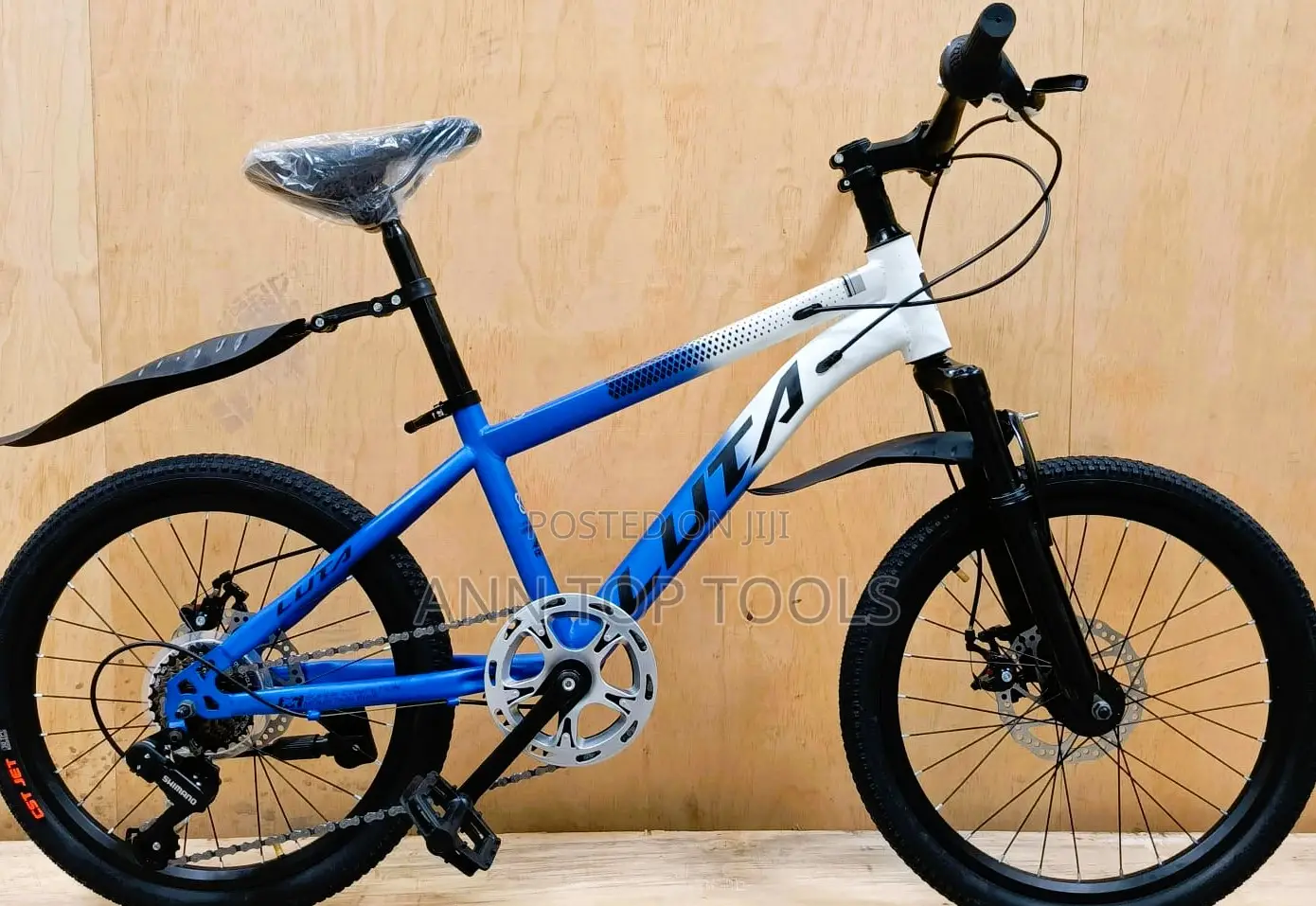 Size 20 Luta Geared Bicycle