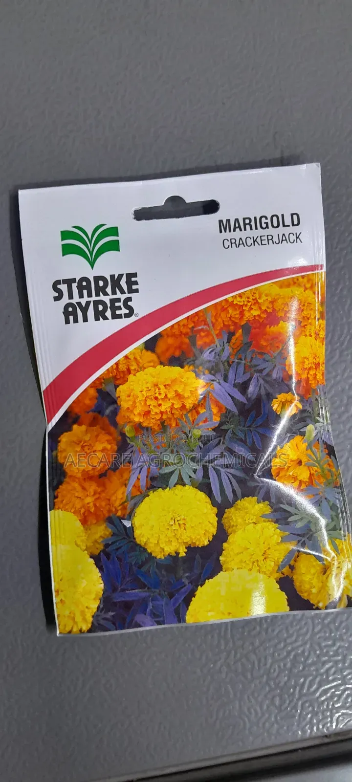 Marigold Crackerjack Flower Seeds Starke Ayres 3.6grams
