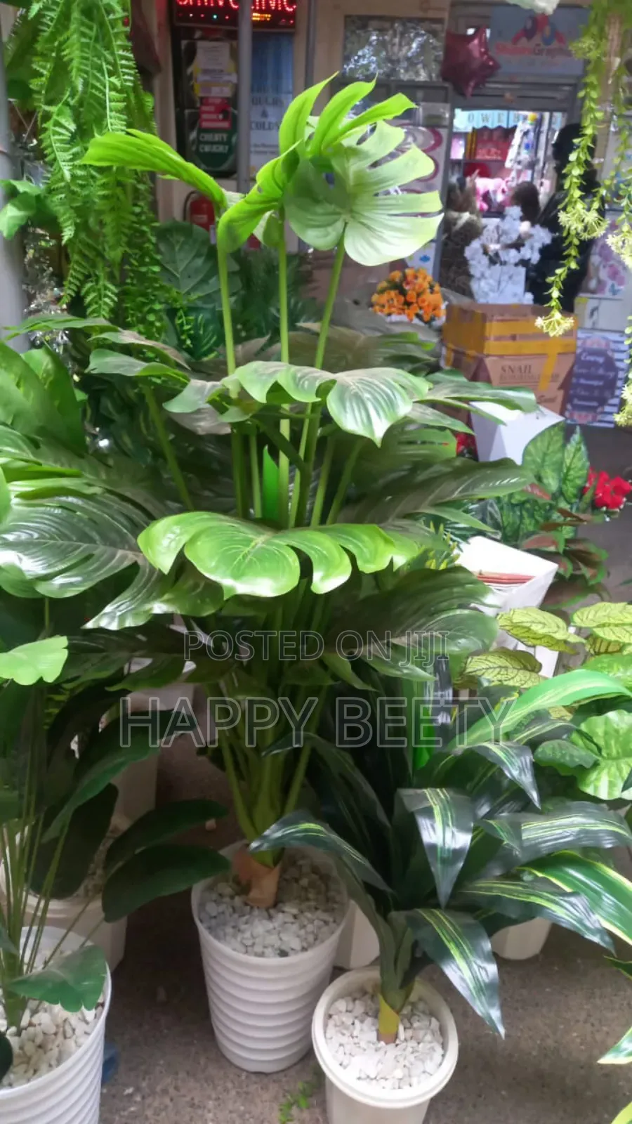 Artificial Monstera Plant(Comes With Pebbles+ Bucket)