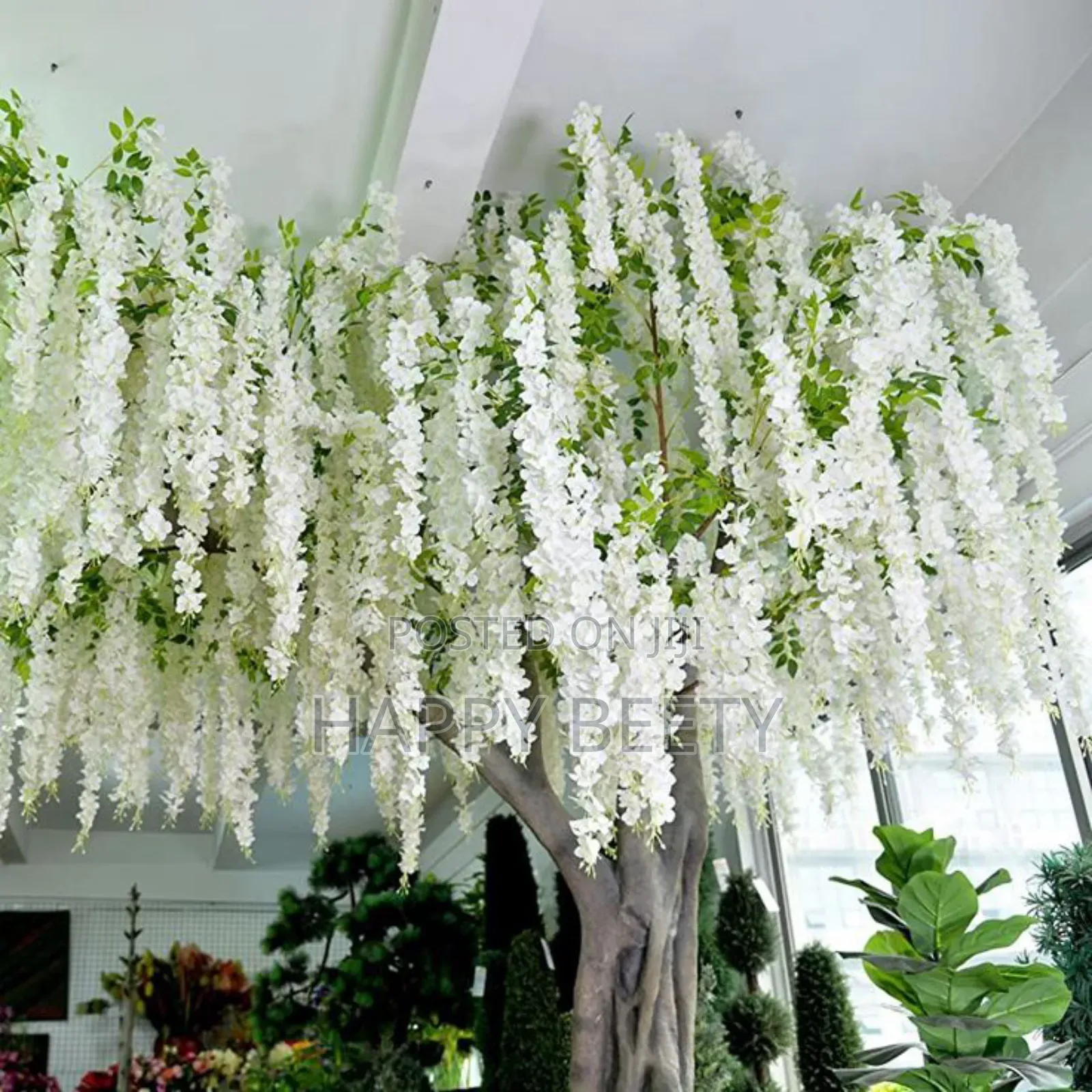 Pretty Hanging Flowers(Winsteria Vines)