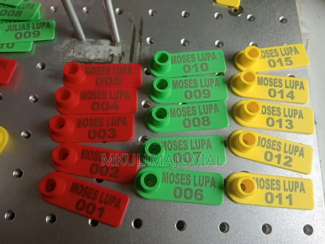 All Colors Ear Tags Customization/Personalizations