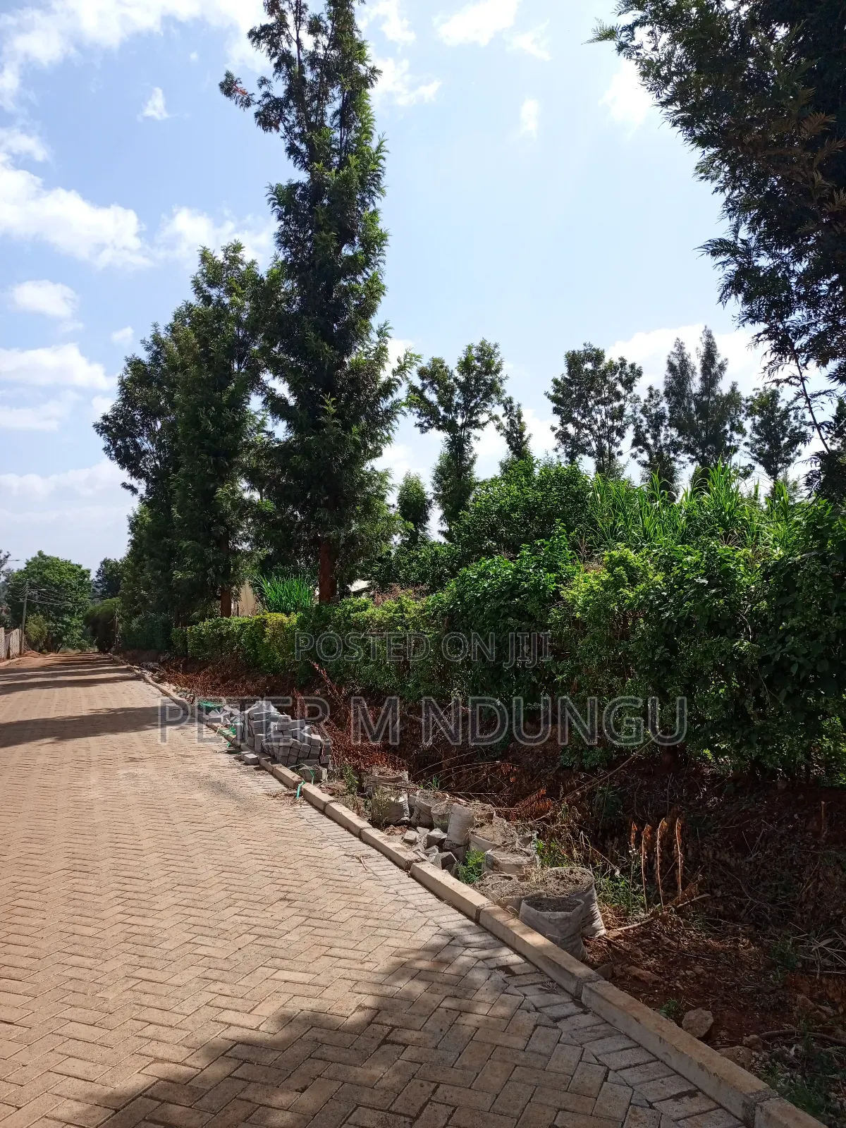 Prime One Acre, Kiukenda