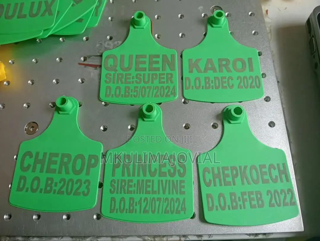 Green Medium Cow Ear Tags Customized