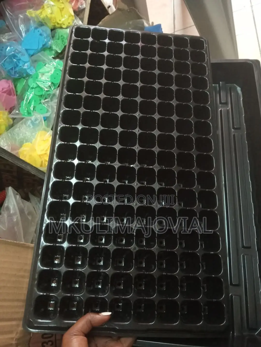 Seedling Trays