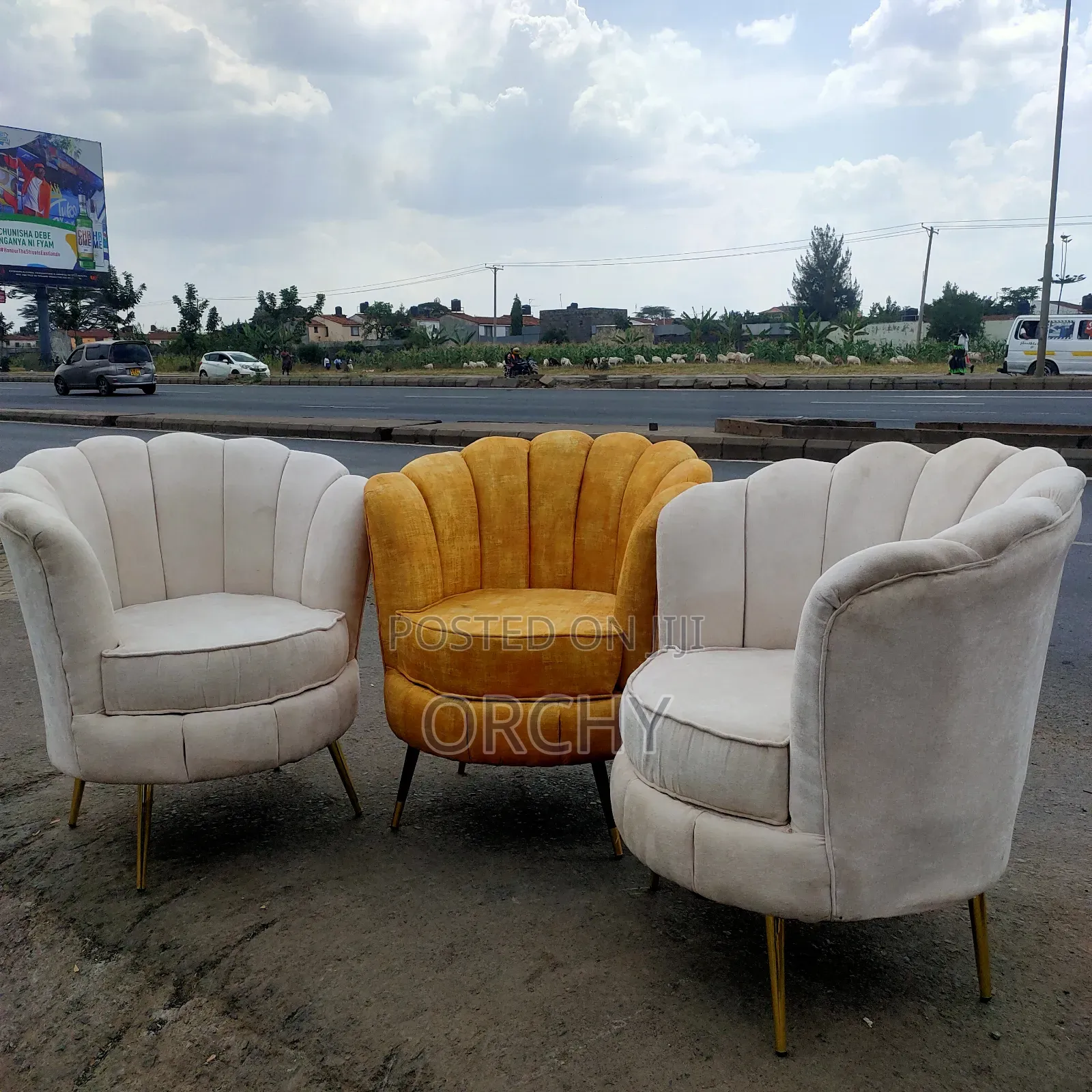Pedicure Seats / Flower Seats