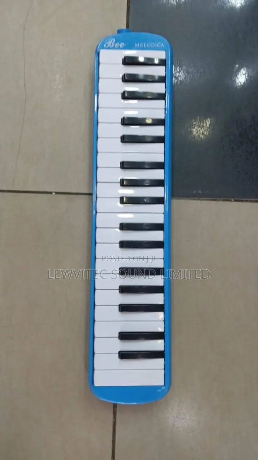 Musical Melodica