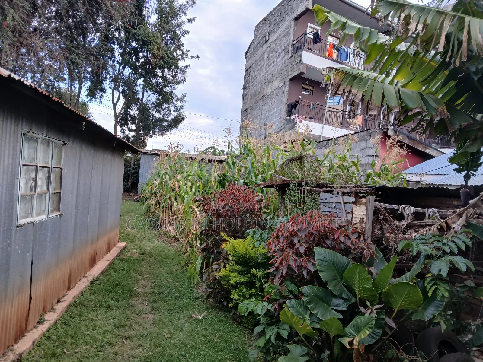 Commercial Full 50 by 100 Plot in Matasia CBD