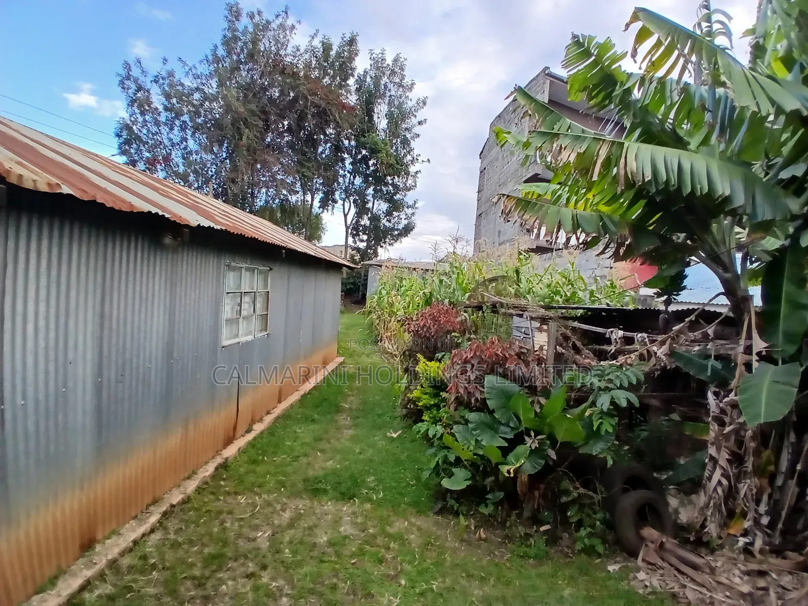 Commercial Full 50 by 100 Plot in Matasia CBD