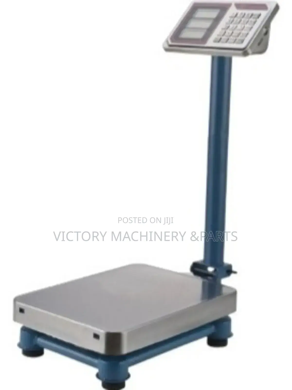 Digital Platform Scale