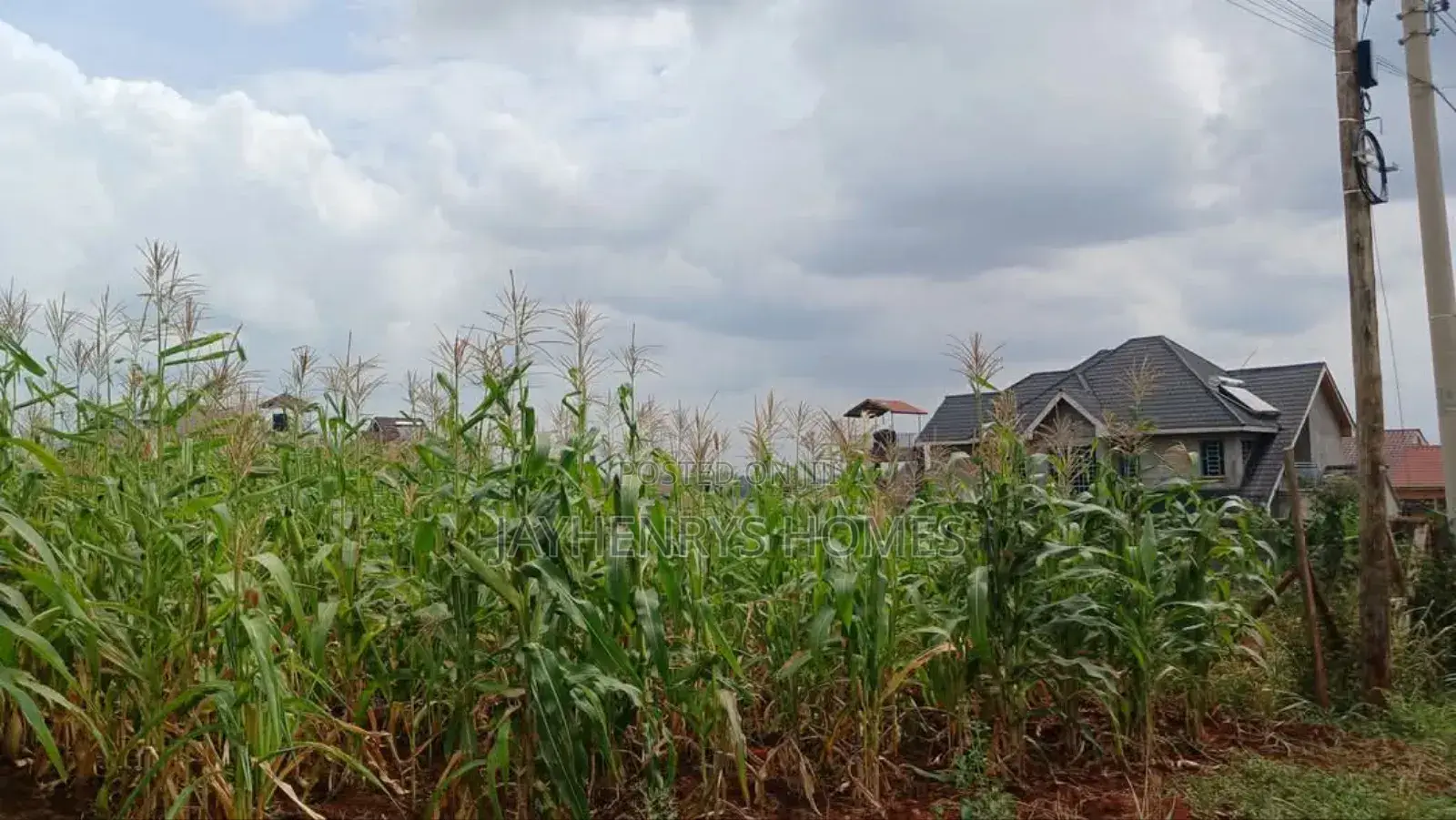 Plots for Sale in Mugutha, Ruiru at Kes 3.5M