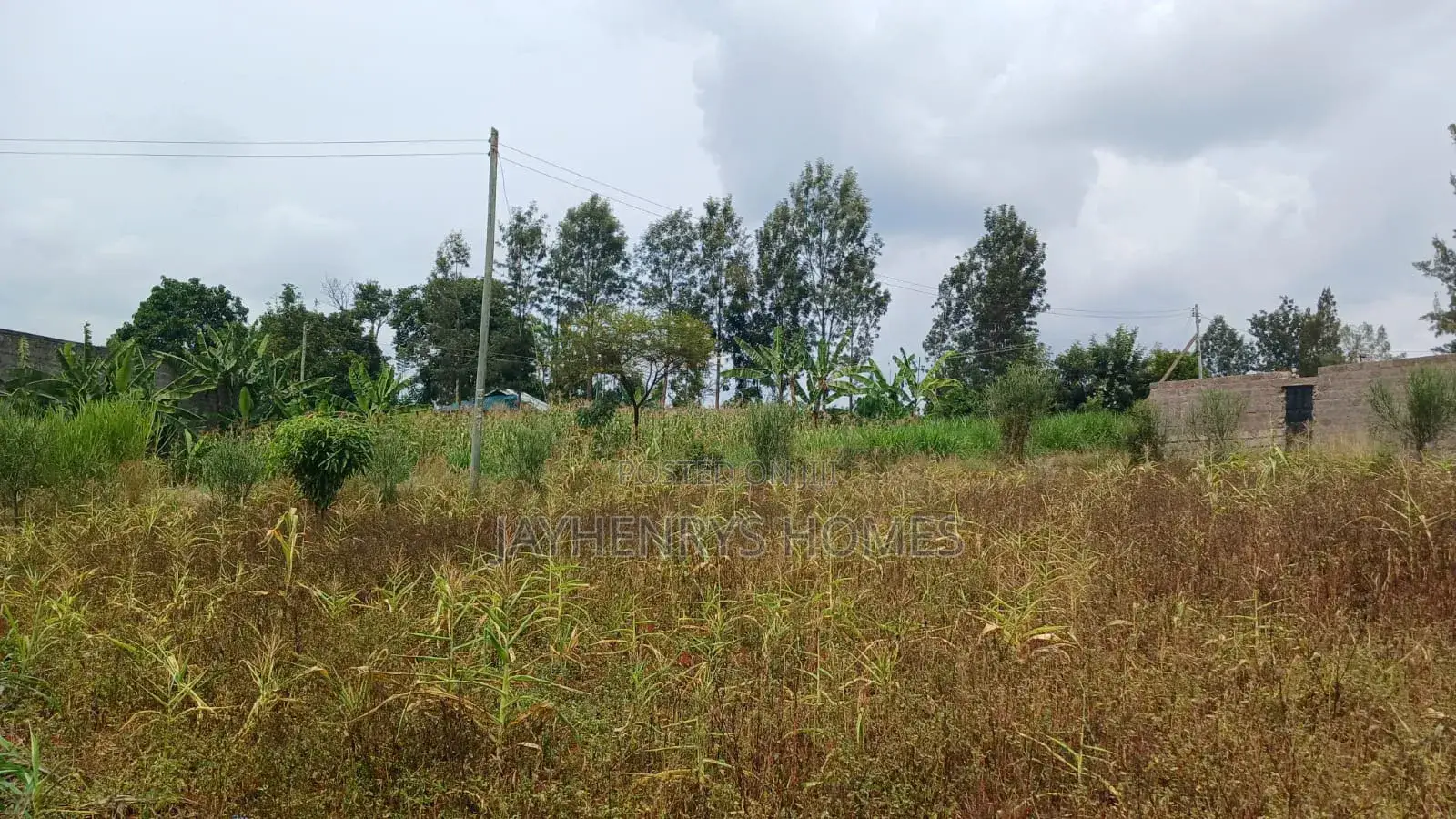 Plots for Sale in Mugutha, Ruiru at Kes 3.5M