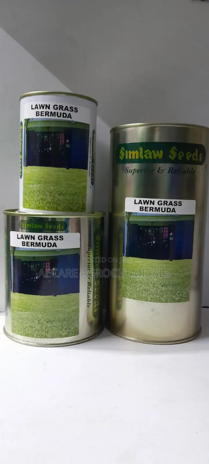 Bermuda Lawn Grass (Simlaw Seeds) 100g, 250g, And 500g