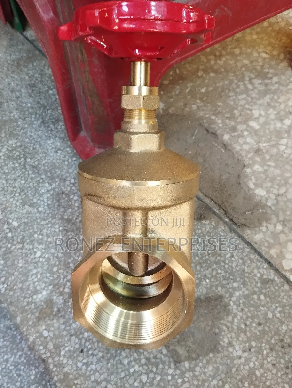Gate Valve 21⁄2 Pegral