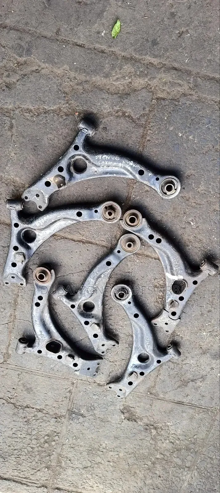 Arms Carina Ti,Caldina,Premio Nyoka.