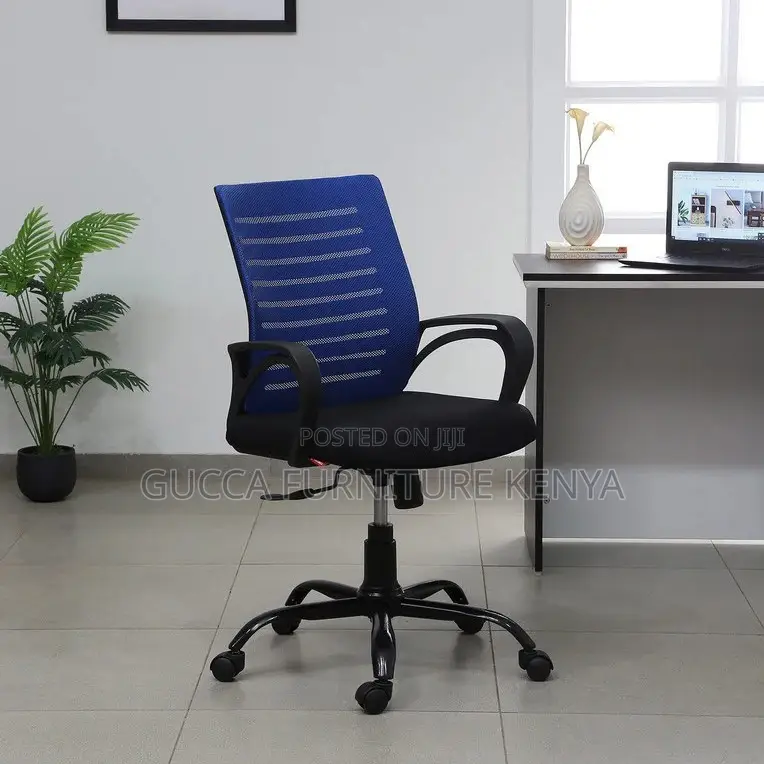 Office Chairs:Breathable Mesh Ergonomic Chair in Blue Colour