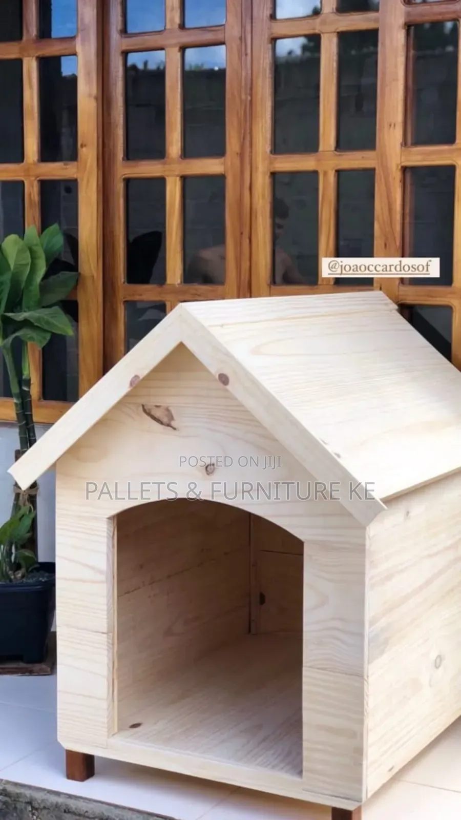 Super Dogs House