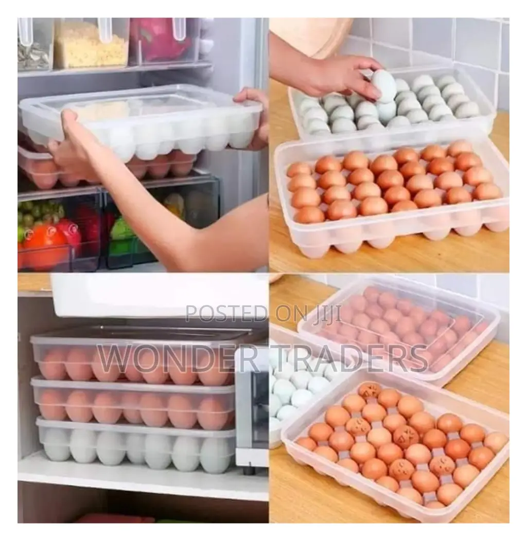 Egg Tray Egg Tray Hold 24 Eggs