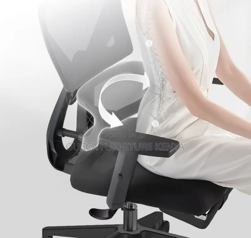 Office Chairs: Office High Back Orthopedic New Support Chair