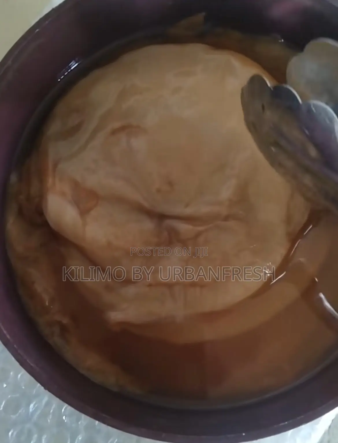 Scoby Available a Piece.