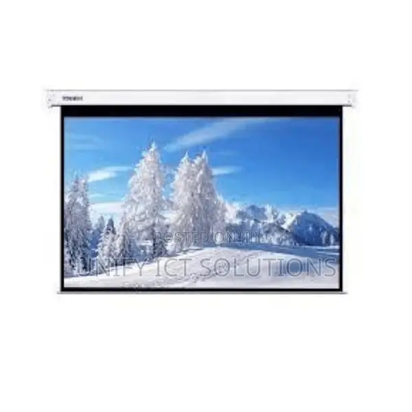 Lw Eps 240E Electric Projector Screen 240 X 240 Cm