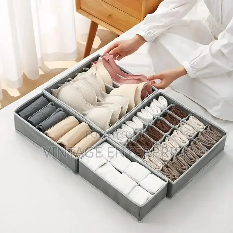 4in1 Undergarments Organizer