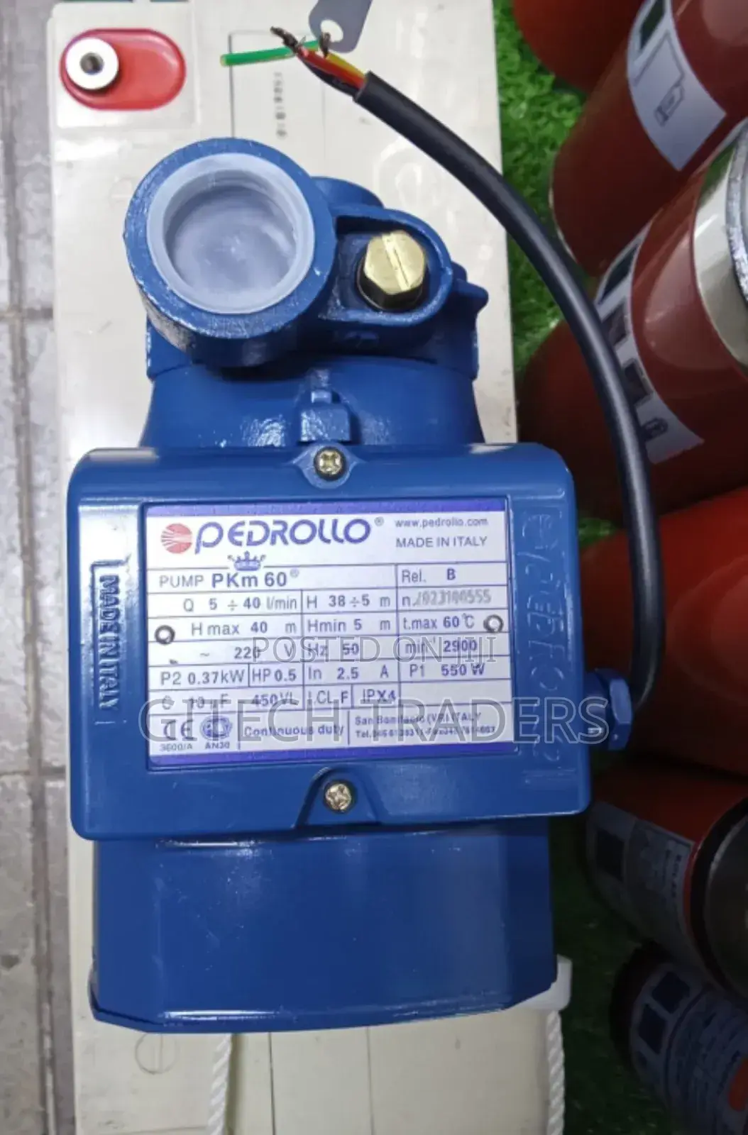 Pedrollo Water Pump