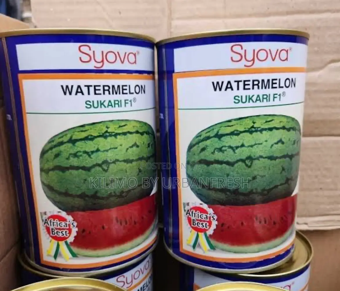 Water Melon Sukari Seeds 250g. High Yields.