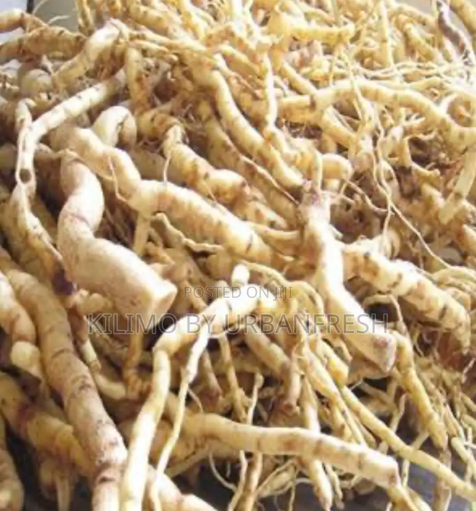 Mukombero Powder ( Mondia ) 1 Kg