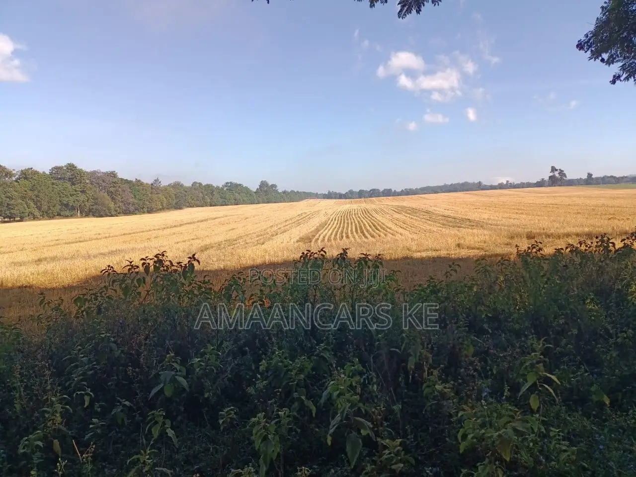 1,511 Acres Land For Sale In Bahati Nakuru