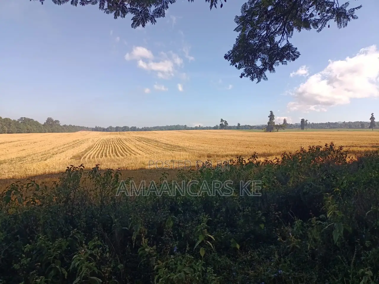 1,511 Acres Land For Sale In Bahati Nakuru