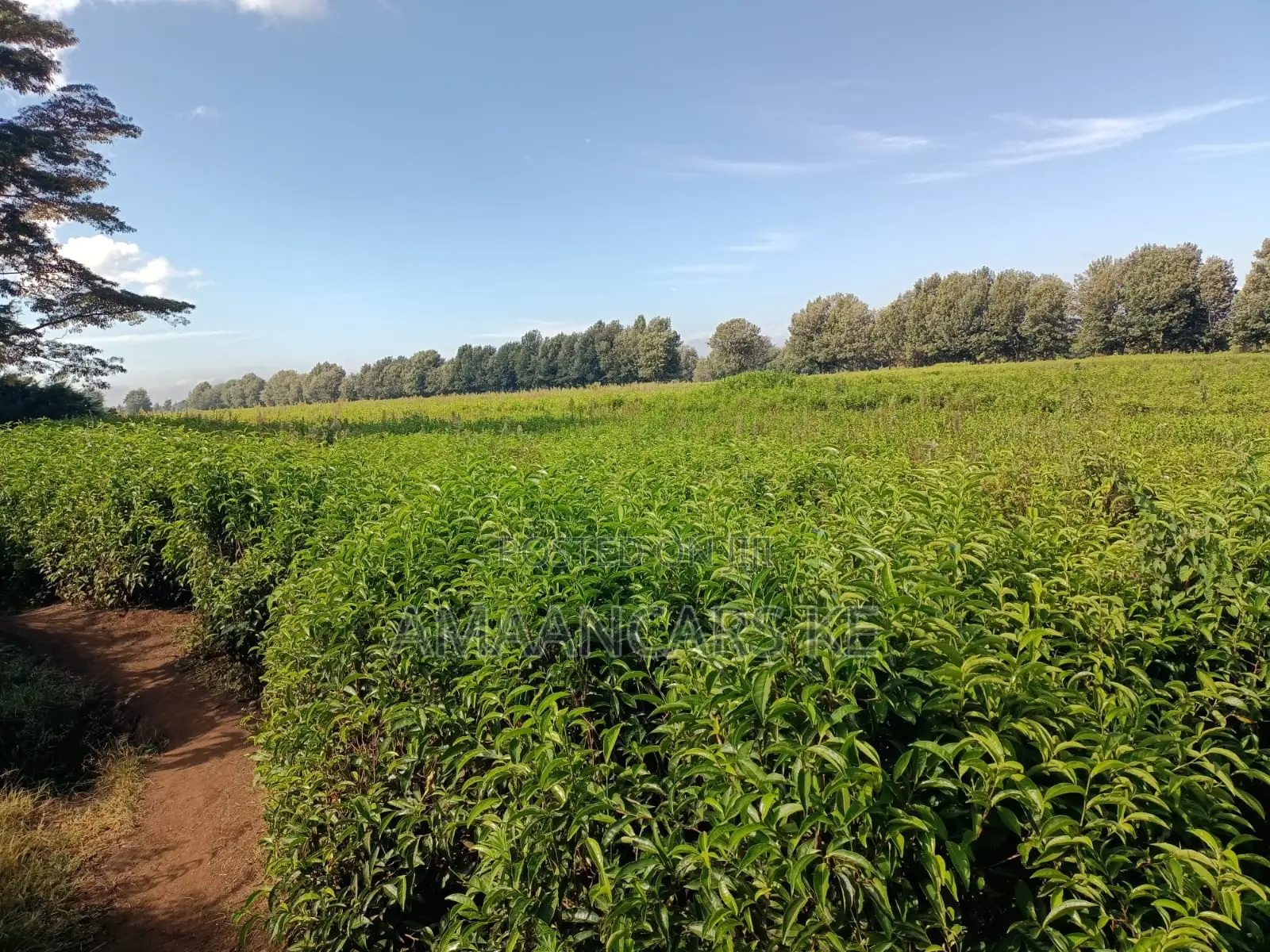 1,511 Acres Land For Sale In Bahati Nakuru